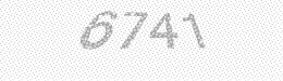 Visual security code — type the characters shown in the image