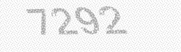 Visual security code — type the characters shown in the image